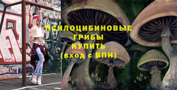 ешки Абинск