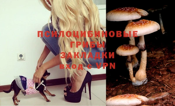 ешки Абинск